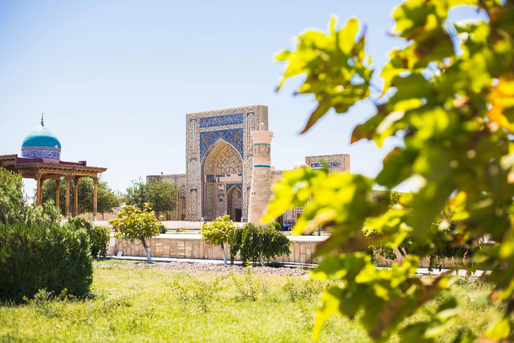 Intricate blue tilework of an ancient madrasah in Uzbekistan seen through green trees under a clear blue sky